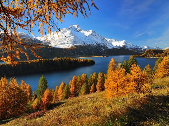 How to quickly and effectively design font logos